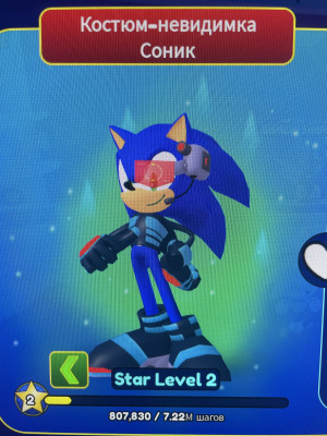 Stealth suit sonic