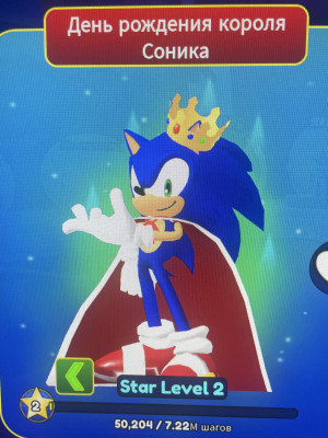 Birthday king sonic