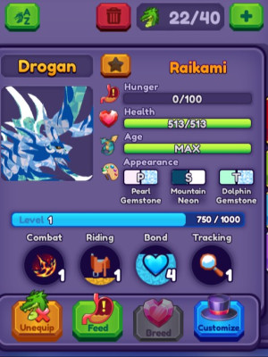 Raikami