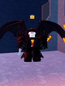 Void wing