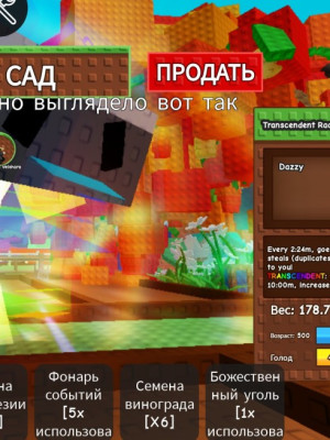 Енот 2кд