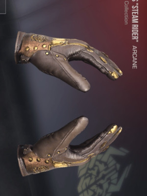 Gloves Steam Rider