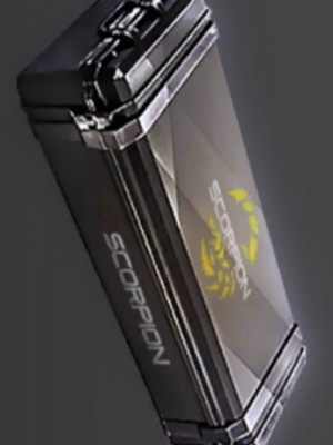 Scorpion Case