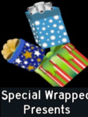 Special Wrapped Presents