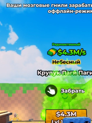 Коуп паки паки