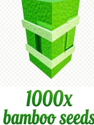 1000 BAMBOO SEEDS