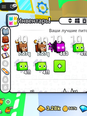 Pet