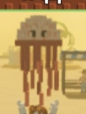 Jellyfish