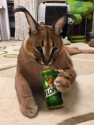 На новые товары продавцу