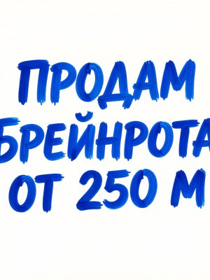 продам брейнрота от 250м за 250р