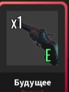 Gun future