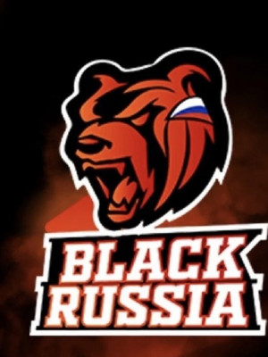ОПИСАНИЕ // УГОЛОВНЫЙ КОДЕКС BLACK RUSSIA: ЗНАЙ ЗАКОН, ЧТОБЫ ИГРАТЬ ПО СВОИ