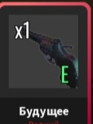 Gun future