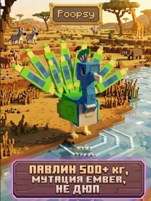 Ember peacock 500+ kg 500 age, чек описание