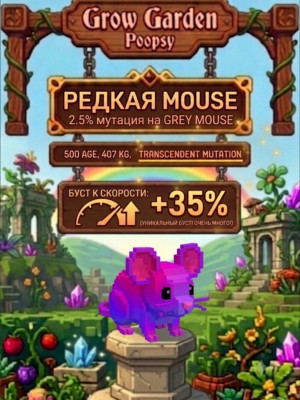 Trancedent grey mouse 407kg, чек описание