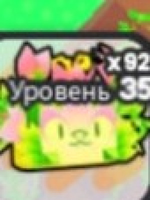 Пет для ивент