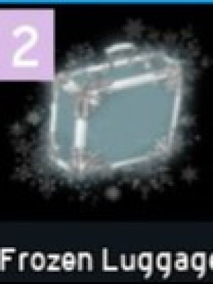 Frozen Luggage