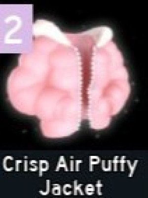Crisp Air Puffy Jacket