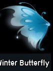winter butterfly