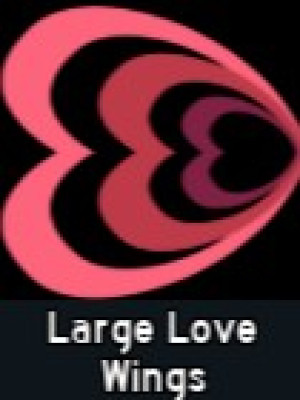 large love wings
