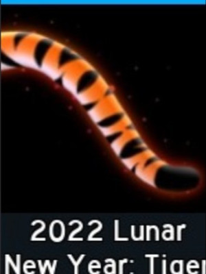 2022 Lunar New Year Tiger