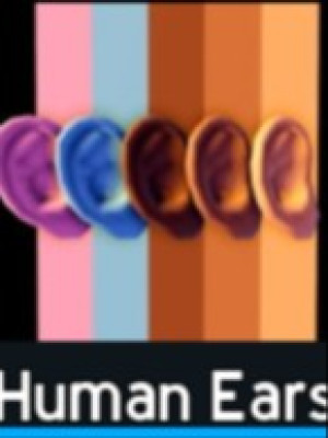 Human Ears