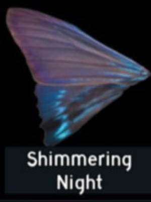 Shimmering Night