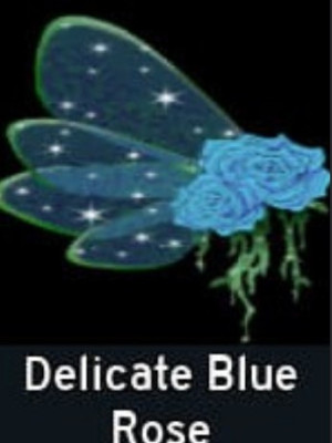Delicate Blue Rose