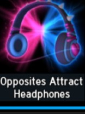 Opposites Attract Headphones