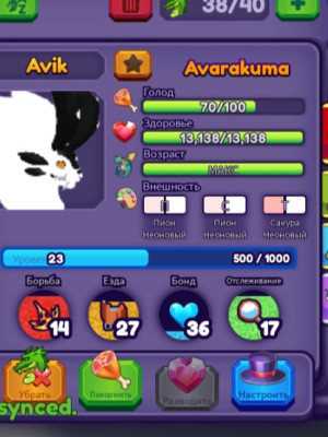 Avarakuma