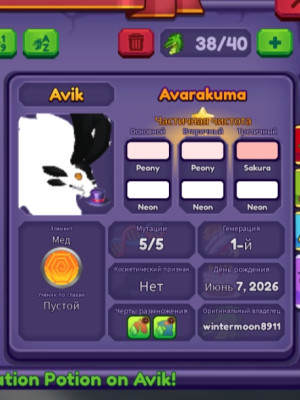 Avarakuma