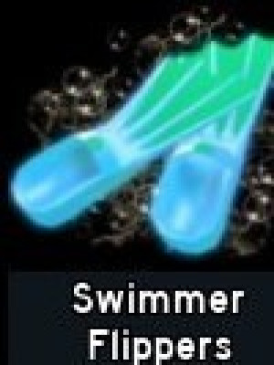 Swimmer Flippers