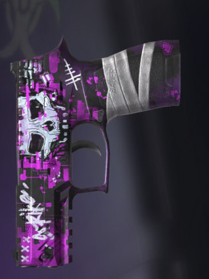 P350 "Raider"
