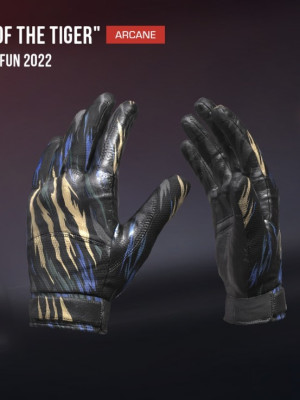 Gloves "Year of the tiger"