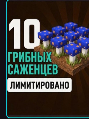 10 mushroom seeds/10 гребных семян
