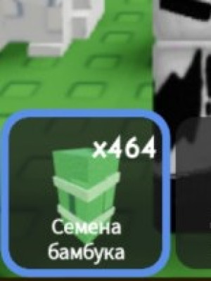 ПРОДАМ 464 СЕМЕЧКА БАМБУКА! + подарок)