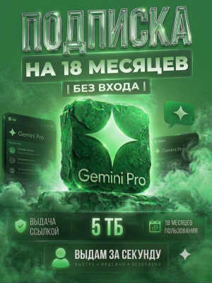 Gemini Pro | 18 месяцев | 5 ТБ