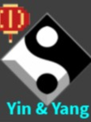Yin & Yang (Gem)