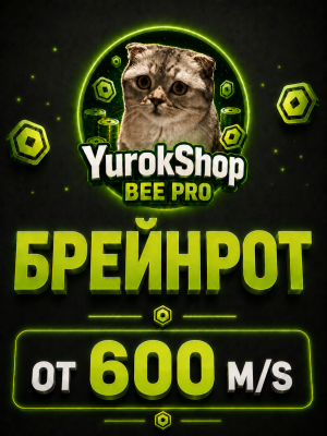 Брейнрот от 600 м/с