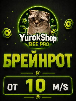 Брейнрот от 10 m/s