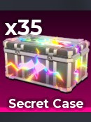 Secret Case