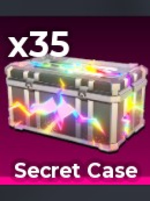 Secret Case