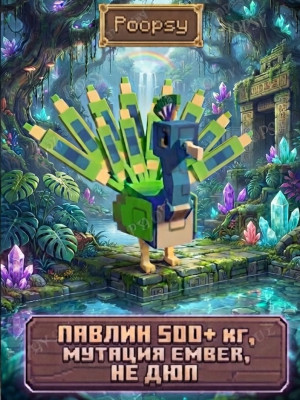 Ember peacock 500+ kg 500 age, чек описание