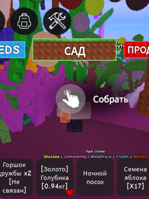 Два пет шарда