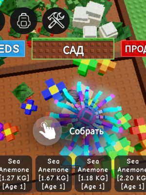Продам 6 сеа емэин