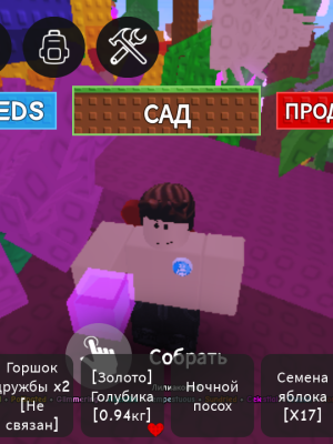Два пет шарда