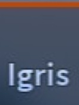 Igris (Mythic Skin, Ability: Dragon Knight)