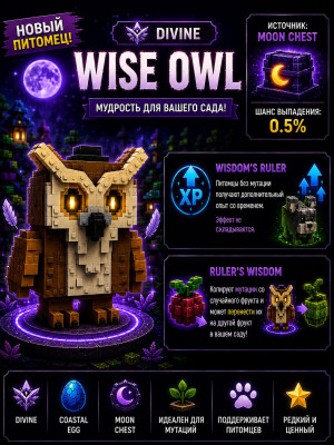 МУДРАЯ СОВА 🦉 WISE OWL 💎 DIVINE 💎 0.5% | MOON CHEST | Новый пет