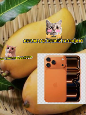 На новый телефон