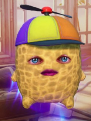 theburntpeanut скидка %10